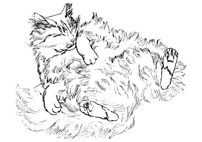 Mini bag - Mini pochette de voyage